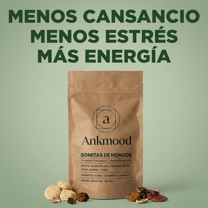 Ankmood | Rendí al máximo sin caídas de energía ni bloqueos