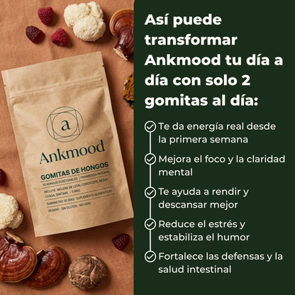 Ankmood | Rendí al máximo sin caídas de energía ni bloqueos