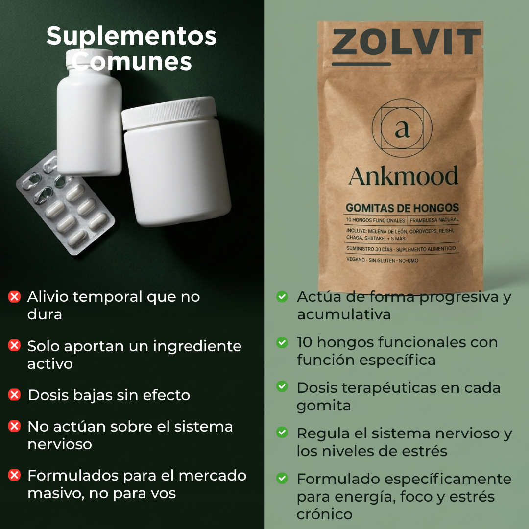 Ankmood | Rendí al máximo sin caídas de energía ni bloqueos